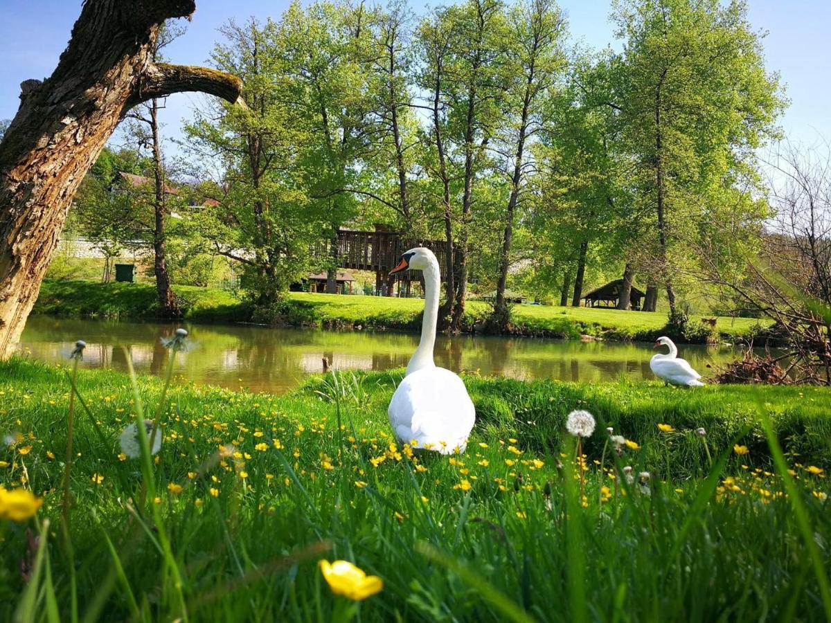 Gostisce Koren Hotel Zuzemberk Bagian luar foto